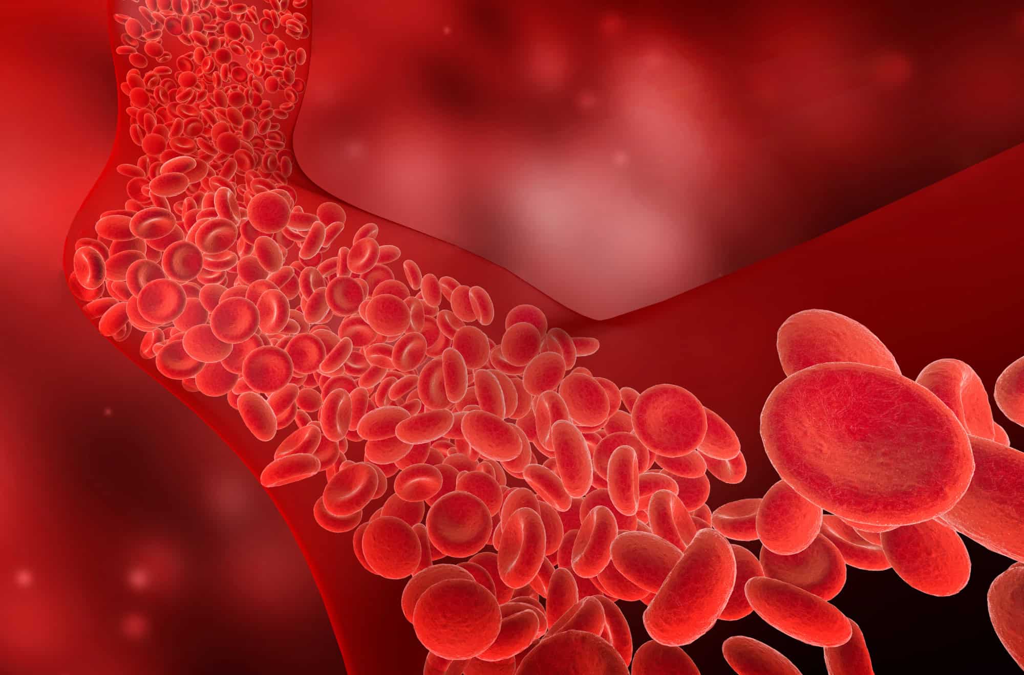 3D illustration of red blood cells flowing through an artery in the human body