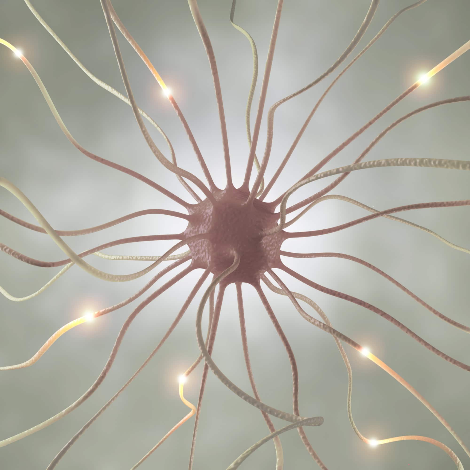 3D illustration of an active neuron with glowing synapses, representing HueLight’s PBM cellular stimulation.